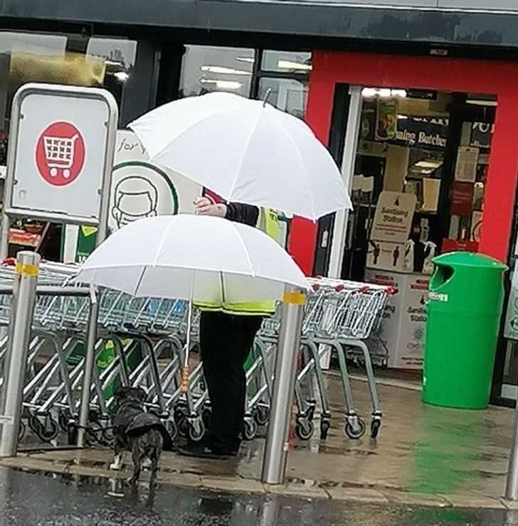 4. "Ochroniarz trzymajÄ…cy parasol nad psem klienta robiÄ…cego zakupy"