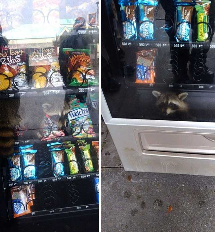 8. KtoÅ› prÃ³bowaÅ‚ obrabowaÄ‡ automat.
