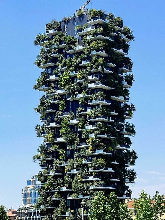 "Jeden z wieÅ¼owcÃ³w Bosco Verticale (wertykalny las) w Mediolanie"