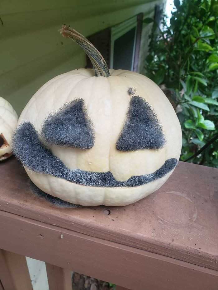 4. Halloweenowa dynia z pleÅ›niÄ… wyrastajÄ…cÄ… ze Å›rodka