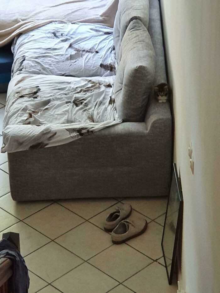 9. "Percy, gdy miaÅ‚ 2 miesiÄ…ce"