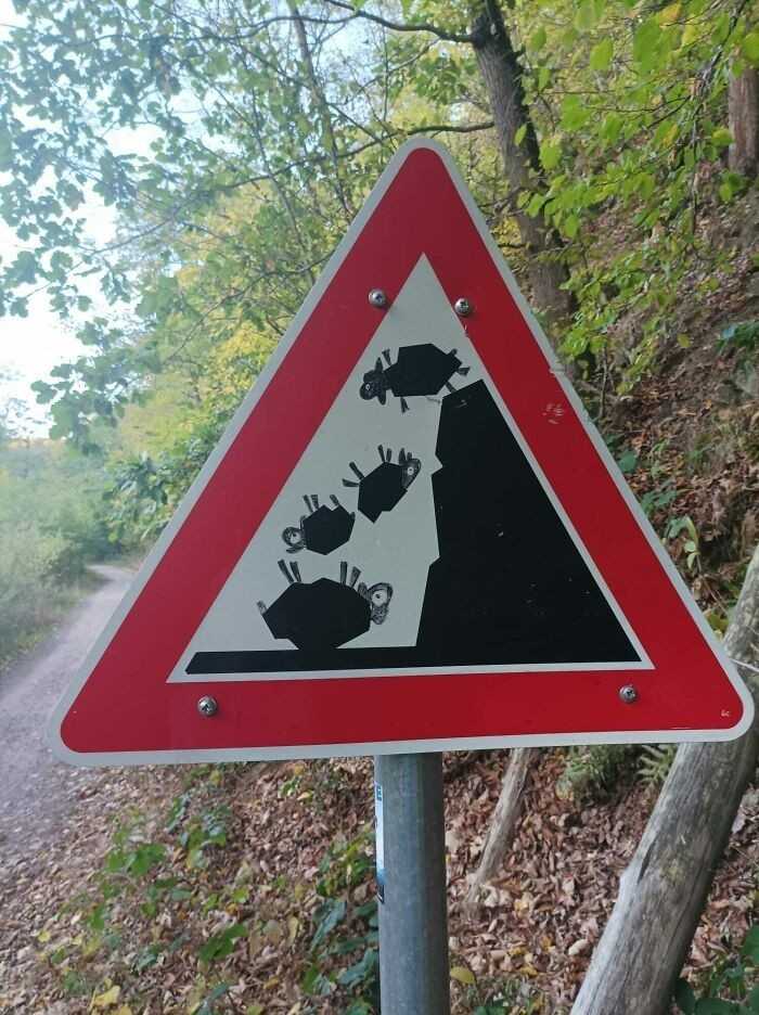 "Uwaga: SpadajÄ…ce owce"